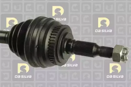dasilva-31239at