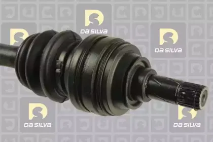 dasilva-31239at