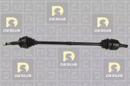 dasilva-31252at
