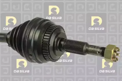dasilva-31252at