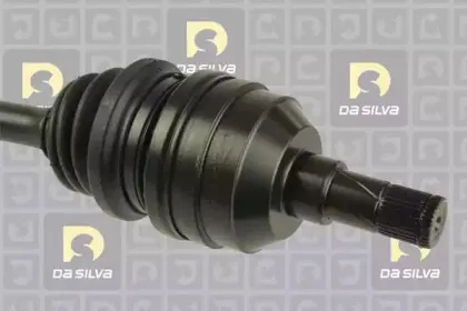 dasilva-31252at