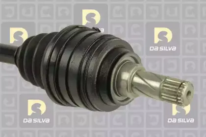 dasilva-31261at