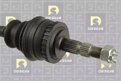dasilva-31263at
