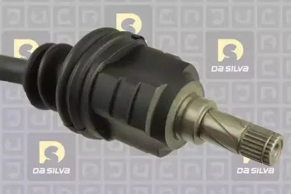 dasilva-31263at