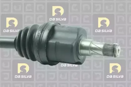 dasilva-31279at