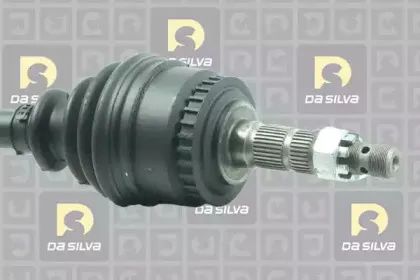 dasilva-31279at