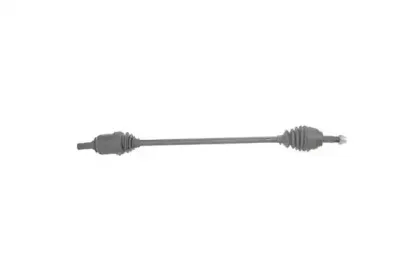 dasilva-31281at
