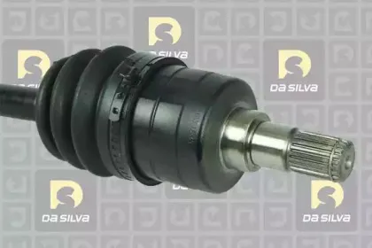 dasilva-31283at