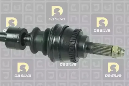 dasilva-31283at
