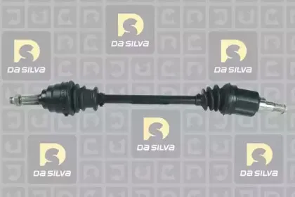 dasilva-31289t