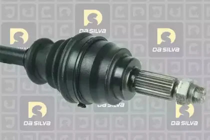 dasilva-31289t
