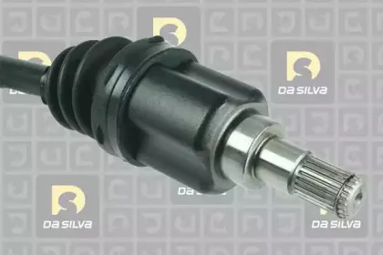 dasilva-31289t