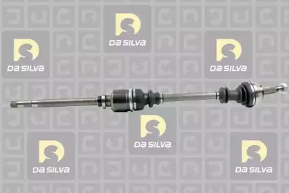 dasilva-jc312