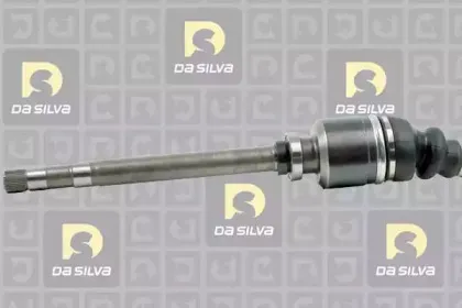 dasilva-jc312