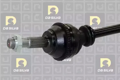 dasilva-313at