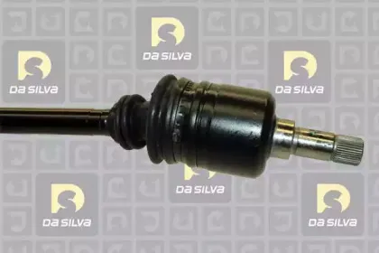 dasilva-313at