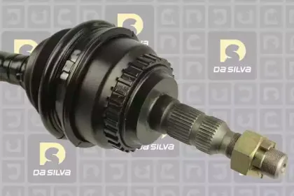 dasilva-31407at