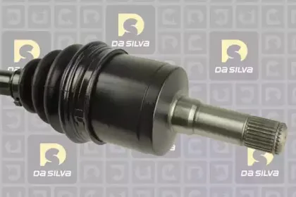 dasilva-31407at