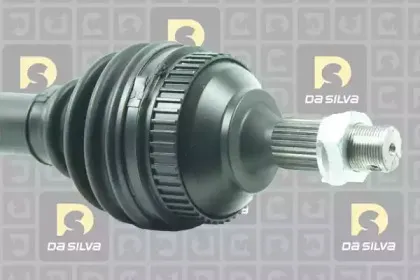 dasilva-3539at