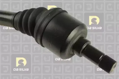 dasilva-3701at