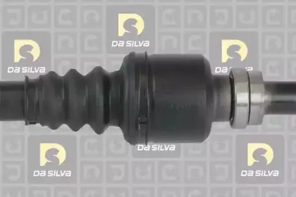 dasilva-382at