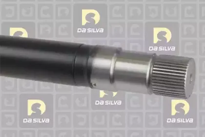 dasilva-382at