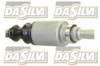dasilva-jc398