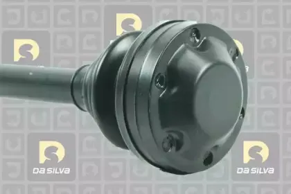 dasilva-4166at