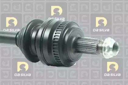 dasilva-4166at