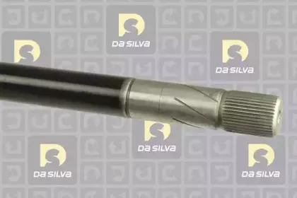 dasilva-4304at