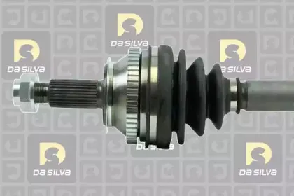 dasilva-432at