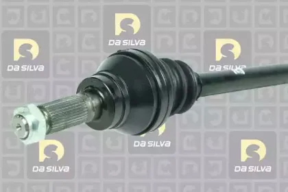 dasilva-jc436