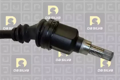 dasilva-jc4431