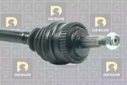 dasilva-4447at