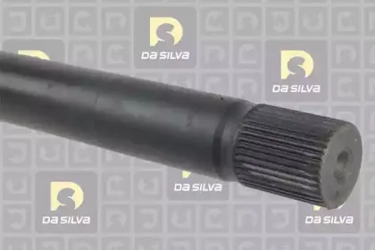 dasilva-4454at