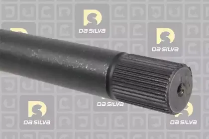 dasilva-4456at