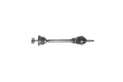 dasilva-jc4467