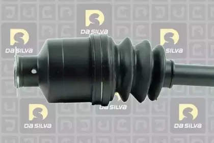dasilva-jc4470
