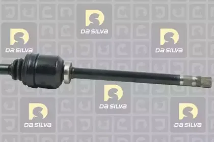 dasilva-4488at