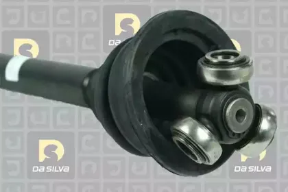 dasilva-4489atbis