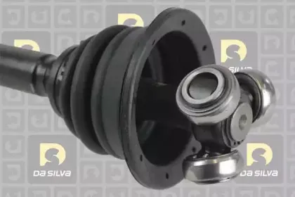 dasilva-4489tbis