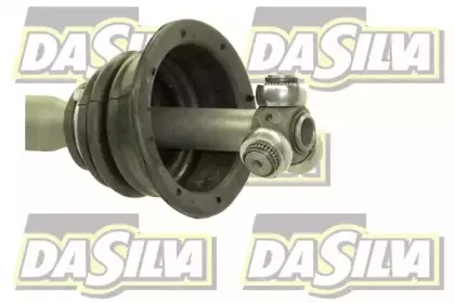 dasilva-4499at