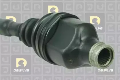dasilva-4504at