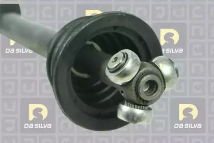 dasilva-4505at