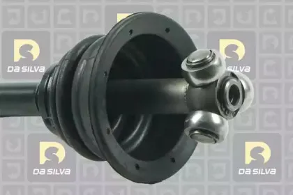 dasilva-4511at