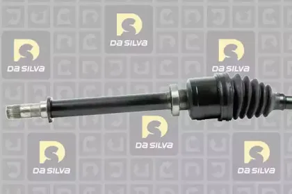 dasilva-4524at