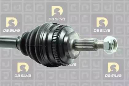 dasilva-4524at