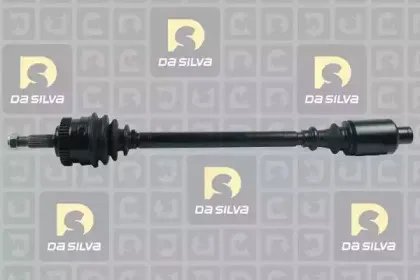 dasilva-4536at2