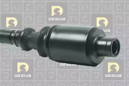 dasilva-4536at2