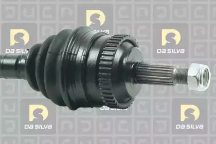 dasilva-4536at2
